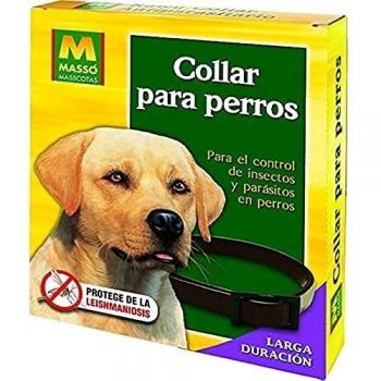 Insect Repellent Dog Collar