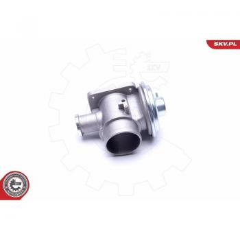 Partita EGR ESEN SKV 14SKV179 – Compatibile con Fiat, Alfa‑Romeo e altri marchi