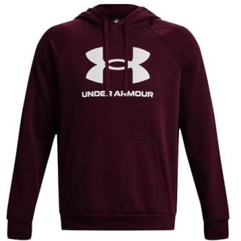 Under Armour Felpa Uomo 1379758600 XL Viola
