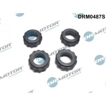 Dr. Motor Atomizer Holder Seal Ring DRM0487S