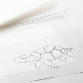 #