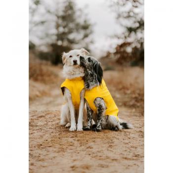 Cappotto 55 Hunter Milford Per Cani