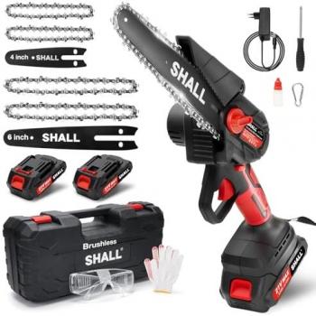 Tronçonneuse à batterie Shall Tool 21V avec 2 batteries