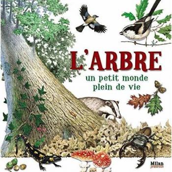L'arbre : Un petit monde plein de vie