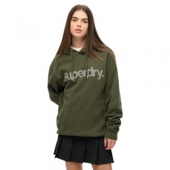 Sudadera con Capucha Superdry Core Logo