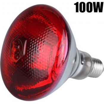 245W Infrared Heat Lamp for Poultry