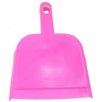 Mini Broom and Cat Litter Scoop