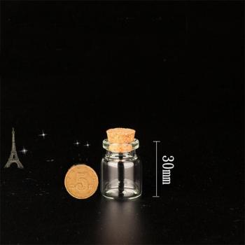 10Pcs Mini Clear Glass Bottles for Christmas Wishes