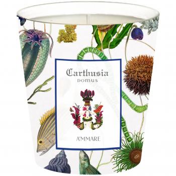 Carthusia Bougie Ambiance A'mmare 300g