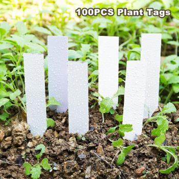100pcs White Plastic Plant Markers 10x2cm