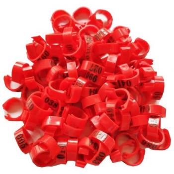 Pigeon Foot Rings 8mm