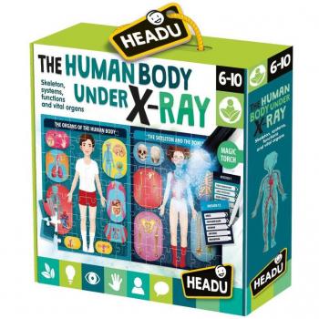 Headu: Il corpo umano sotto raggi X (Italiano)