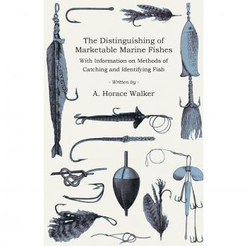 Walker, A. Horace: The Distinguishing of Marketable Marine Fishes