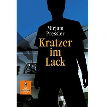 Kratzer im Lack.