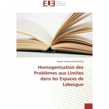 Tchakounte Nandong, Gaetan: Homogenisation des Problèmes aux Limites dans les Espaces de Lebesgue