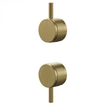 Colore Metal Control Handle Set for Twin Shower Valve