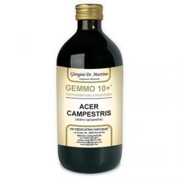 Acero Camp 500ml Analcolico