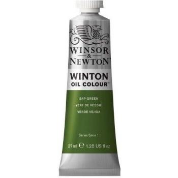 Winton Ölfarbe 37 ml, Saftgrün von Winsor & Newton