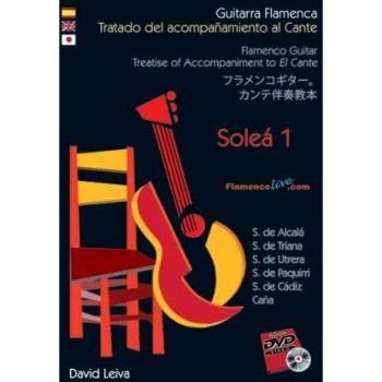 Guitarra Flamenca.Tratado Acompañamiento al Cante