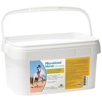 Microbiotal Horse