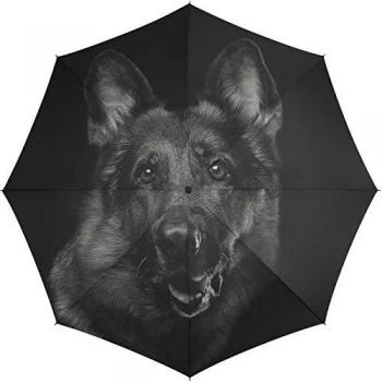 HAPPY RAIN Mini Hundeschirm Automatik 42288