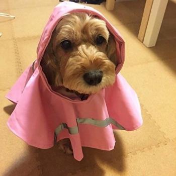 Impermeable Reflectivo para Golden Retriever y Labrador