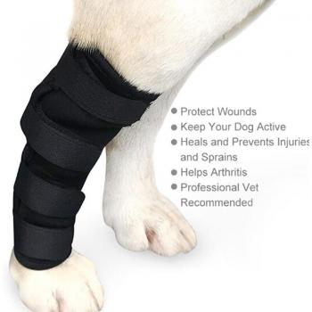 Soporte de Rodilla para Perros