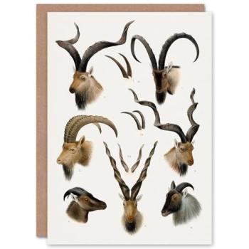 Vintage Richard Lydekker White‑Backed Bovidae Card – Artery8 Edition