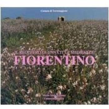 Il recupero di una città medievale fiorentina. Catalogo della mostra (Torremaggiore, 7 novembre 1998)