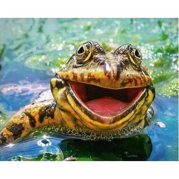 Motif de Grenouille en Point de Croix 5D