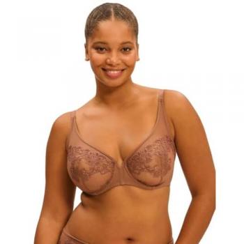 Lace & Net Essentials
