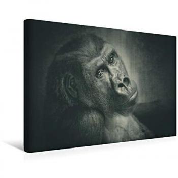 Premium 45 × 30 cm Textil‑Leinwand im Querformat: LA Grande Dame
