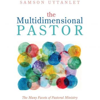 Vitalsource Technologies, Inc. The Multidimensional Pastor