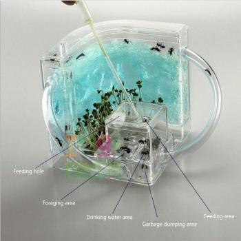 Manoir Bio-Fourmis