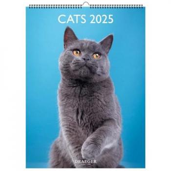 Calendrier mural chats 2025 Draeger Décoration 29×39 cm