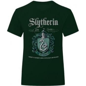 Camicia a Manica Lunga Serpeverde HP