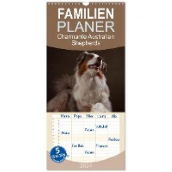 Wandkalender 2024 mit Australian Shepherds