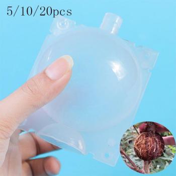 Root Growth Cultivation Sphere