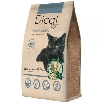 Dibaq