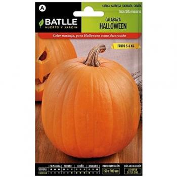 Semi di Zucca Combat