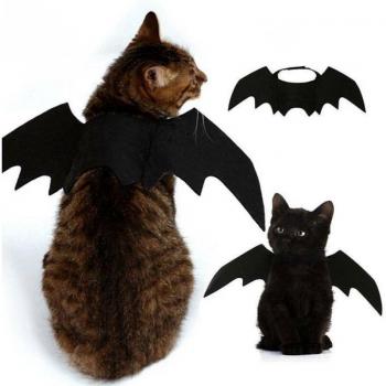 Fancy Bat Wing Pet Dress for Halloween