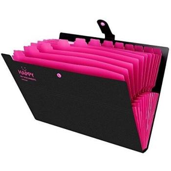 Multi‑Compartment Snap File Keeper