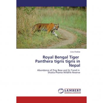 Royal Bengal Tiger Panthera tigris tigris in Nepal