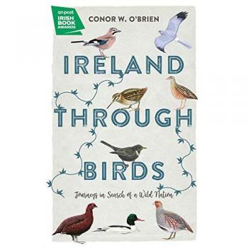 Ireland Through Birds : Journeys in Search of a Wild Nation