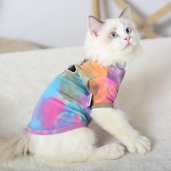 Hairless Cat Rainbow Dye T-shirt