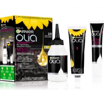 Garnier Olia Big Kit Hair Color 2.0 Black Diamond