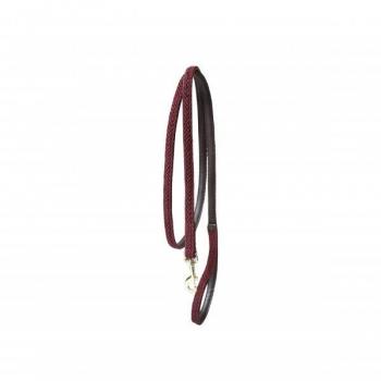 Correa Trenzada de Nylon para Perro Kentucky 120 cm