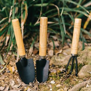 Emballage de mini fleurs de jardin