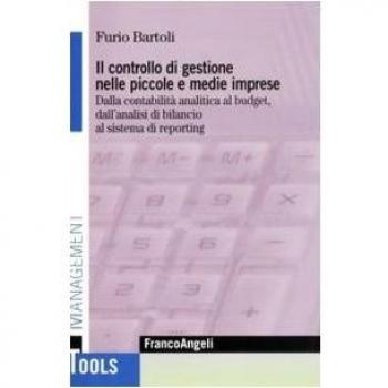 Il controllo di gestione nelle piccole e medie imprese. Dalla contabilità analitica al budget, dall'analisi di bilancio al sistema di reporting