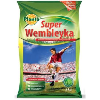 Gazon Résistant Super Wembley 2 kg 80 m²